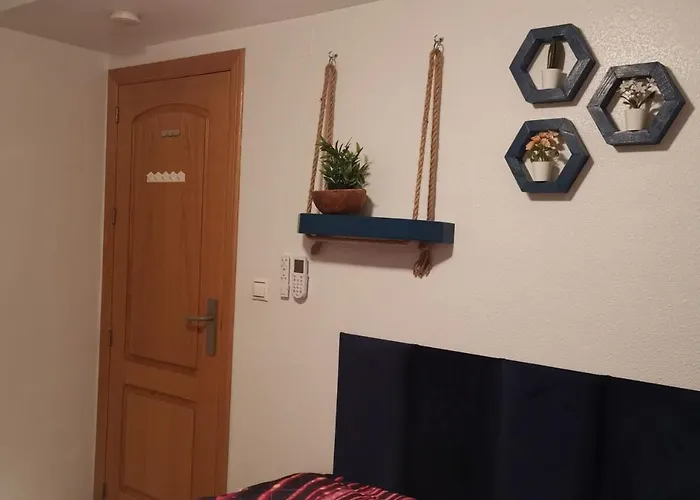 Coco S Locos 1st Coastline *