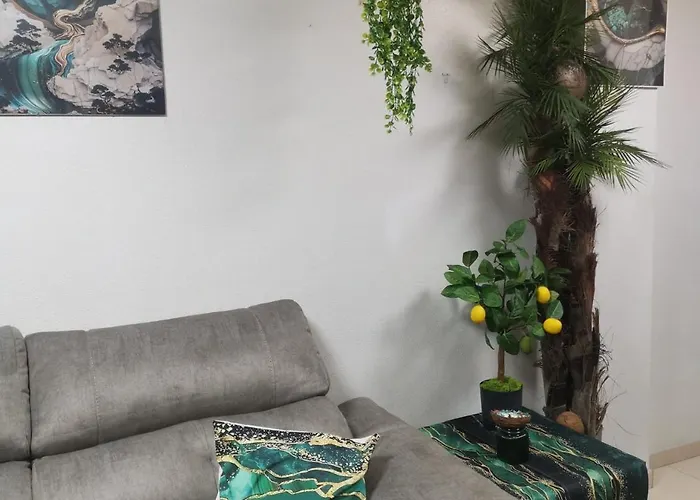 Coco S Locos 1st Coastline *