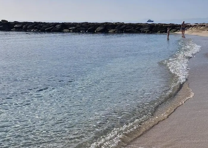 Coco S Locos 1st Coastline