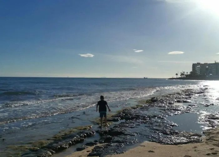 Lägenhet Coco S Locos 1st Coastline Torrevieja