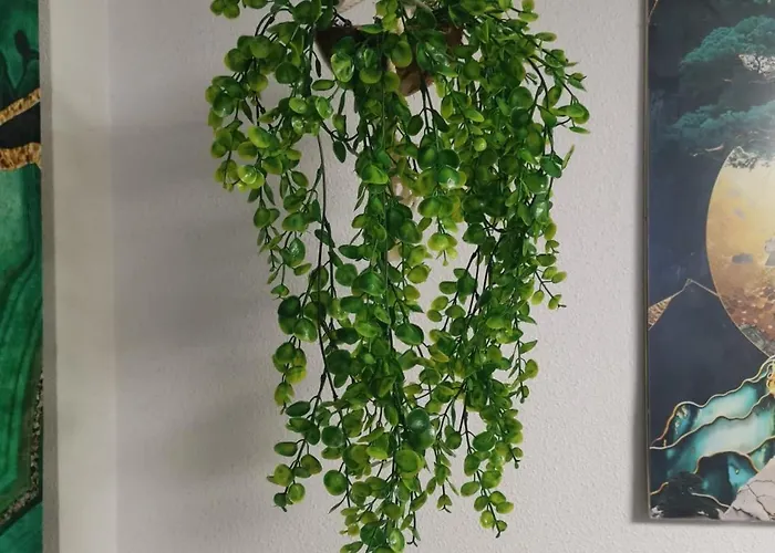 Coco S Locos 1st Coastline